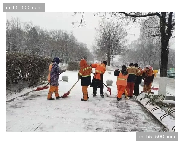 海登海姆主场大雪中作战,工作人员频繁清理边线积雪